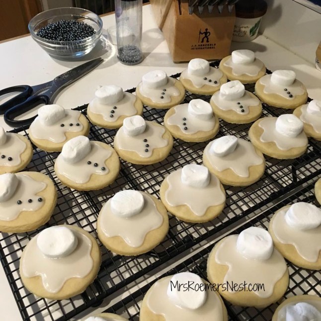 12512531_10206039717048132_1583042903518476618_n